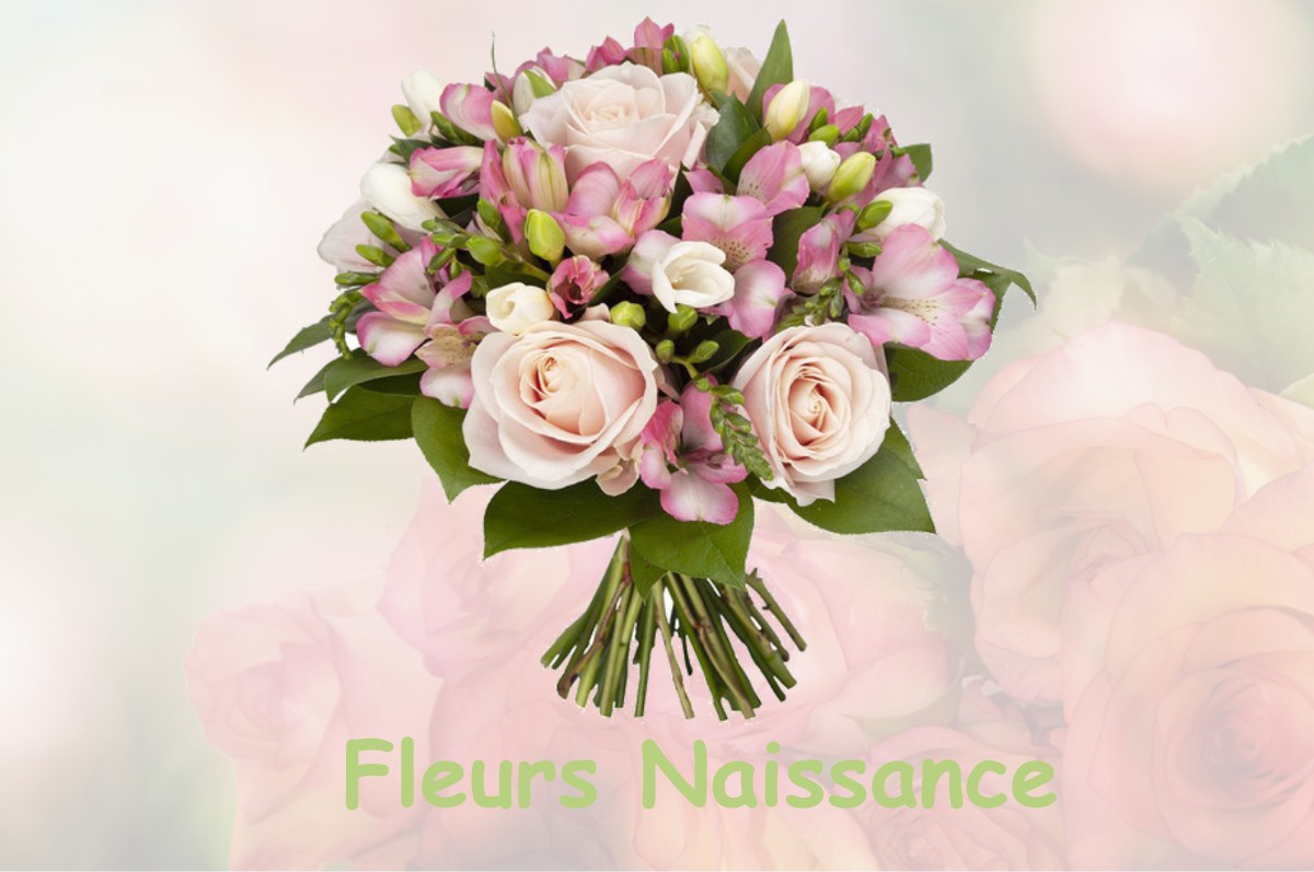 fleurs naissance SAINT-PIERRE-AIGLE